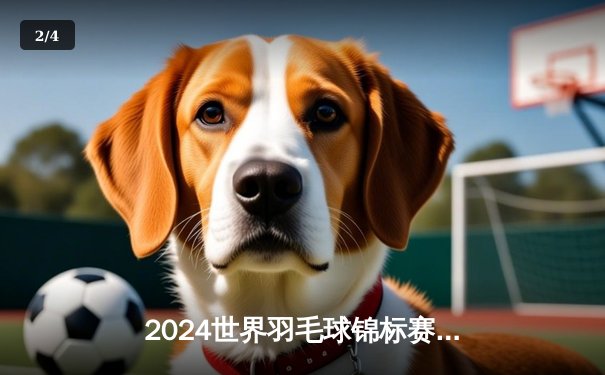 2024世界羽毛球锦标赛：石宇奇逆转安赛龙夺金 国羽男单时隔八年重登王座 - 2