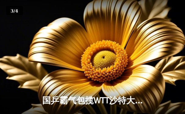 国乒霸气包揽WTT沙特大满贯五冠 王楚钦单日双冠创历史 - 3