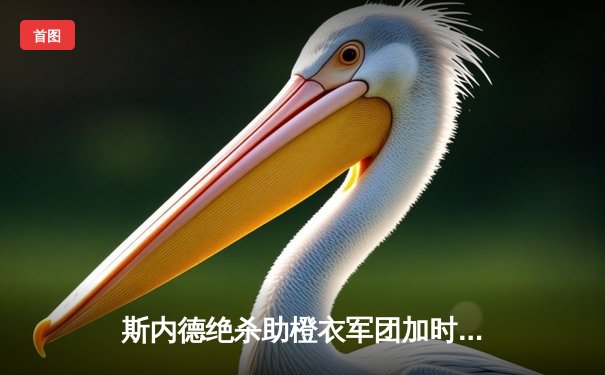 斯内德绝杀助橙衣军团加时逆转，荷兰队点球大战险胜阿根廷挺进世界杯四强