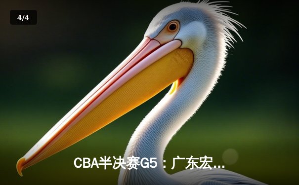CBA半决赛G5：广东宏远加时逆转辽宁，胡明轩35分创生涯新高 - 4